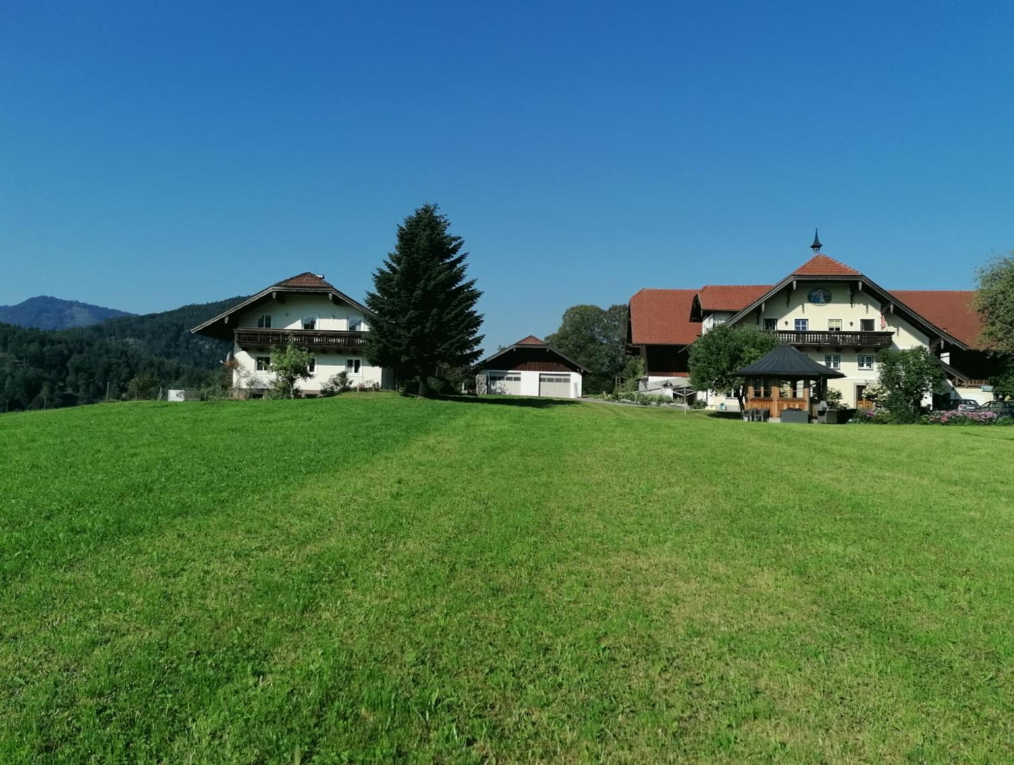 Apartament Vordergschwandtgut Faistenau Zewnętrze zdjęcie